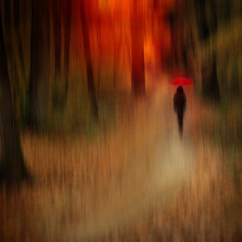 Destiny – ADELA LIA RUSU