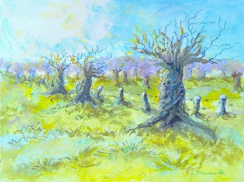 Livada bunicilor: Rădăcini de timp – Romana Scorvanech