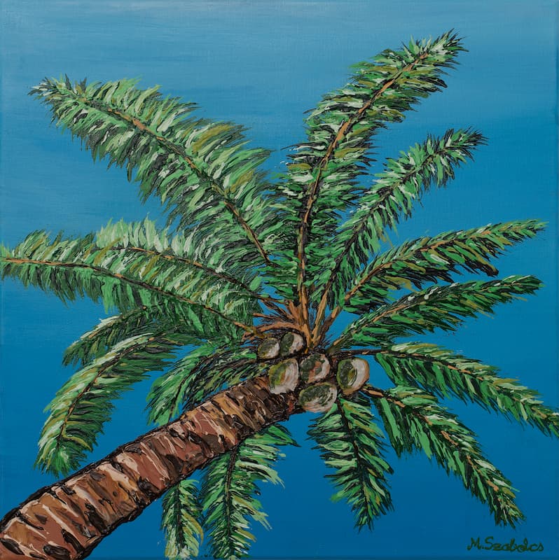 Skyward Palm – Módi Szabolcs