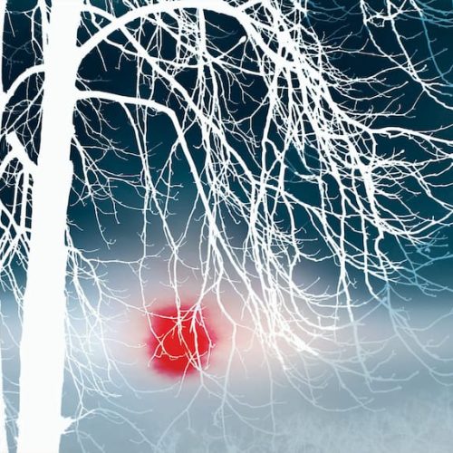 Silentium – Meza Andreea-Anamaria