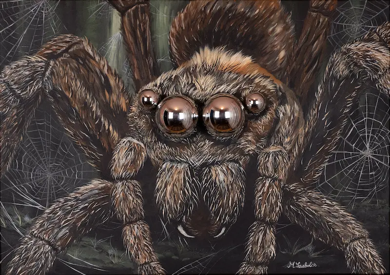 Do You Fear Me? – Modi Szabolcs