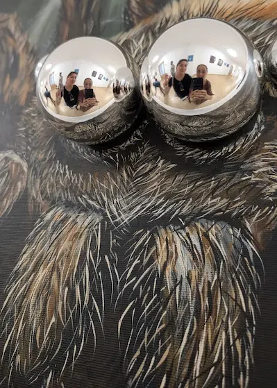 Expoziția EMOTIE